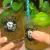 ../system/files/webform/vendor_application/49/products_the-black-lagoon-room_klockau_pete_2.jpg